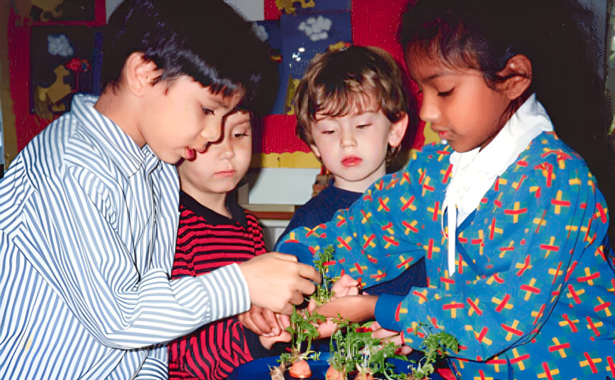 kids at school doing gardening